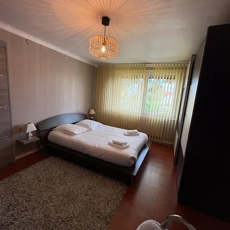 Le Point - Terrasse - Proche De Colmar Appartement Wintzenheim