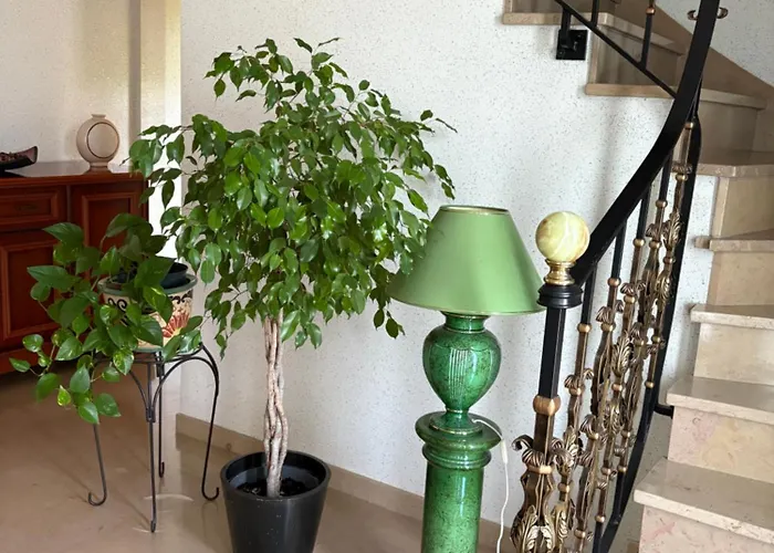 Le Point - Terrasse - Proche De Colmar Appartement Wintzenheim